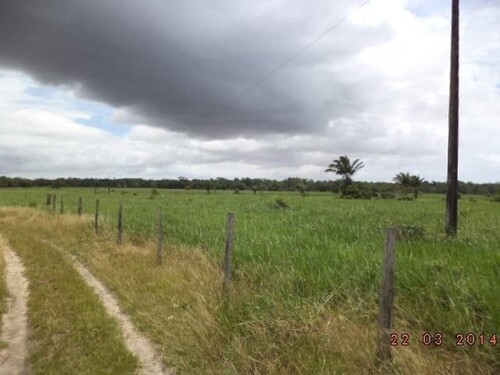 Bild 3 - Grundstück in Presidente Figueiredo