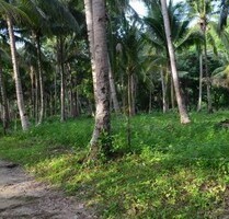 Bauland für Investoren am schönen Binucot-Strand Philippinen - Odiongan