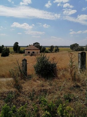 Bild 1 - 50 ha Ackerflaeche kompakt zur Zeit Sonnenblume