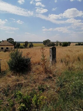 Bild 2 - Grundstück zum Kaufen in Gurahont