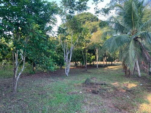 Bild 4 - Grundstück in Manaus zum Kaufen