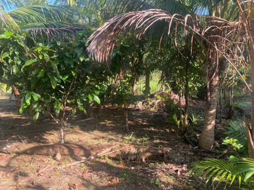 Bild 2 - Grundstück zum Kaufen in Guttet