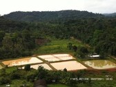 Bild 1 - Brasilien 57.5 Ha Fischfabrik AM 10 Strasse - Region Manaus