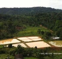 Brasilien 57.5 Ha Fischfabrik AM 10 Strasse - Region Manaus