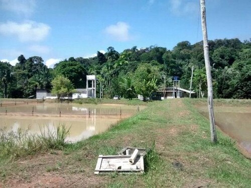 Bild 2 - 1 Zimmer Einfamilienhaus zum Kaufen in Manaus