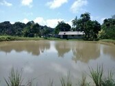 Bild 4 - Einfamilienhaus in Manaus zum Kaufen