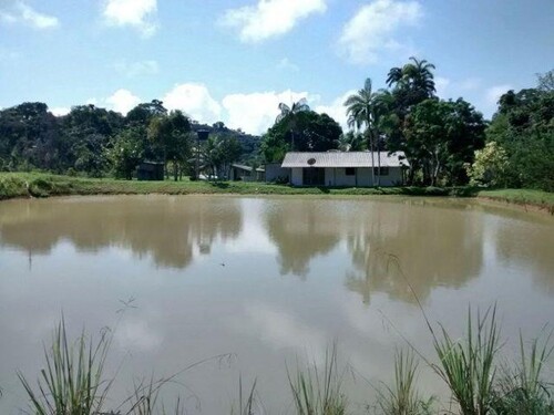 Bild 4 - Einfamilienhaus in Manaus zum Kaufen