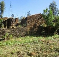 Quinta Vale da Fonte - grosse Ruine, Terrassen und Wald - Vila Facaia