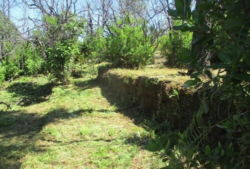 Bild 2 - 1 Zimmer Einfamilienhaus zum Kaufen in Vila Facaia
