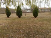 Bild 4 - Einfamilienhaus mit 70,00 m² in Pusztamérges zum Kaufen