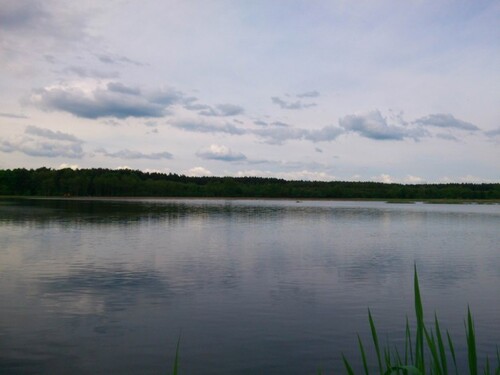 Bild 4 - Grundstück in Trzebnica zum Kaufen