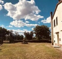 Farm with 1,3 hectares vineyard - Pitigliano