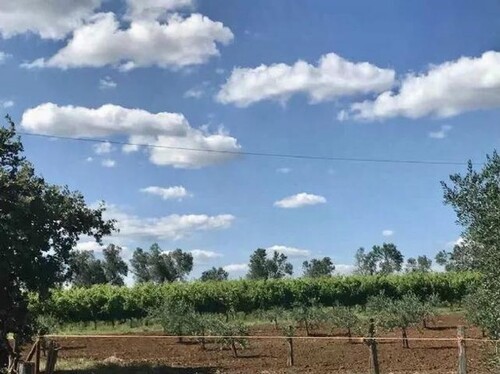 Bild 3 - 1 Zimmer Einfamilienhaus in Pitigliano