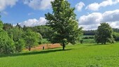 Bild 2 - 9 Zimmer Einfamilienhaus zum Kaufen in Gössweinstein