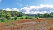 Bild 4 - Einfamilienhaus mit 450,00 m² in Gössweinstein zum Kaufen