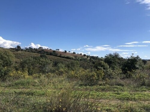 Bild 1 - Poggio Bel Vedere - Preis auf Anfrage