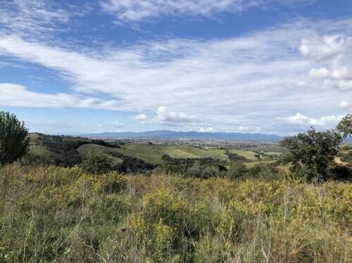 Bild 3 - 10 Zimmer Einfamilienhaus in Maremma