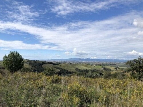 Bild 4 - Einfamilienhaus mit 500,00 m&sup2; in Maremma zum Kaufen