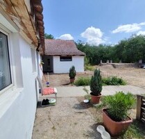 Bauernhaus 60m2 mit Grund 4055m2 Komitat Bacs-kiskun - Hetényegyháza