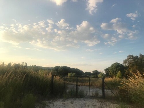 Bild 2 - Grundstück zum Kaufen in Agios Nikolaos/Chalkidiki