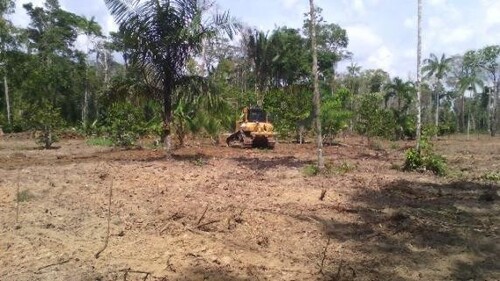 Bild 1 - Brasilien Rohstoffe riesengroßes 1000 Ha Grundstück