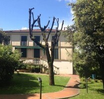 Schöne Jugendstilvilla mit Meerblick - Forte dei Marmi