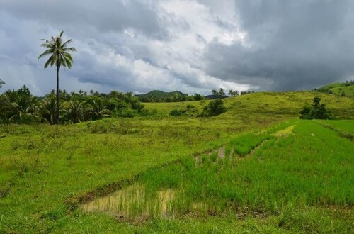 Bild 1 - Bauland 14,7ha für Investor, Meerblick, Philippinen