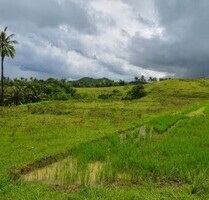 Bauland 14,7ha für Investor, Meerblick, Philippinen - Odiongan