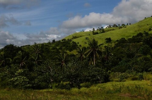 Bild 2 - Grundstück zum Kaufen in Odiongan