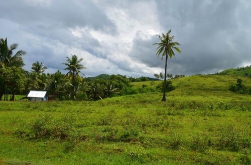 Bild 4 - Grundstück in Odiongan zum Kaufen