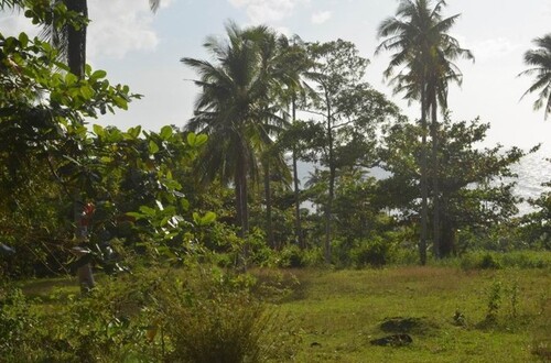 Bild 2 - Grundstück zum Kaufen in Odiongan