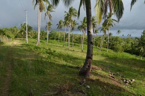 Bild 3 - Grundstück in Odiongan
