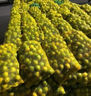 Bild 3 - Grundstück in Manaus Presidente Figueiredo