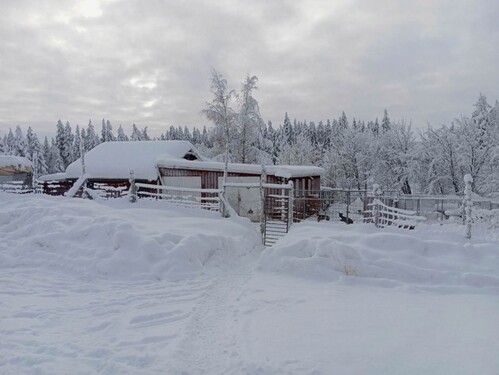 Bild 3 - 4 Zimmer Einfamilienhaus in Malå