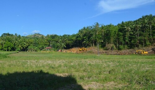 Bild 1 - Bauland, Agrarland für Investor, Meernähe in Philippinen