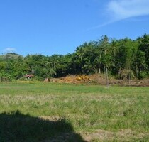 Bauland, Agrarland für Investor, Meernähe in Philippinen - Ferrol