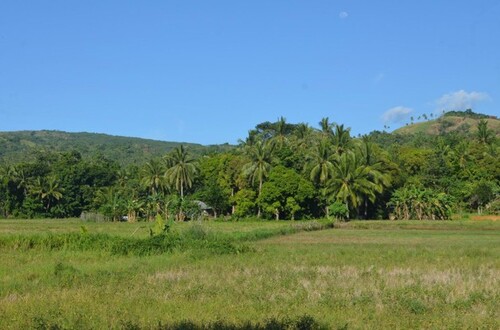 Bild 2 - Grundstück zum Kaufen in Ferrol
