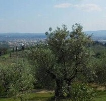Herrenhaus aus Jahr 1700 mit herrlichem Blick - Florenz Herrenhaus aus Jahr 1700 mit herrlichem Blick - Florenz