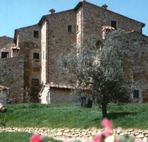 Erdgeschosswohnung in einem Landsitz - Monte San Savino