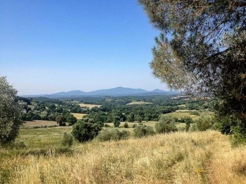 Bild 2 - 15 Zimmer Einfamilienhaus zum Kaufen in Roccastrada