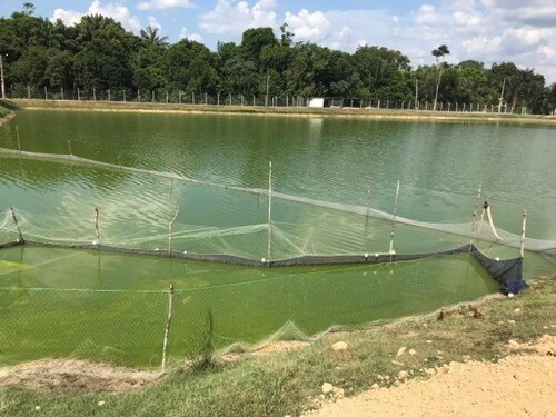 Bild 2 - Grundstück zum Kaufen in Itacoatiara