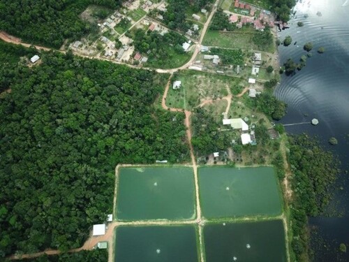 Bild 4 - Grundstück in Itacoatiara zum Kaufen