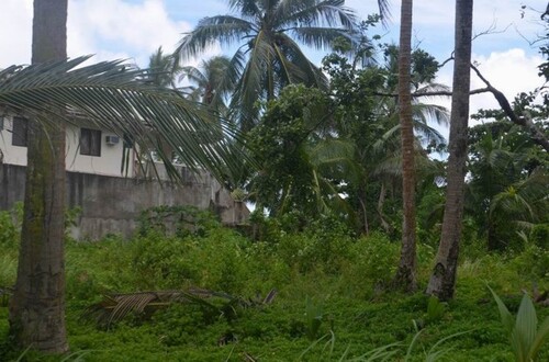 Bild 1 - Bauland 1000qm mit schönen Strand in Philippinen