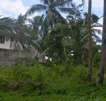 Bauland 1000qm mit schönen Strand in Philippinen - Ferrol
