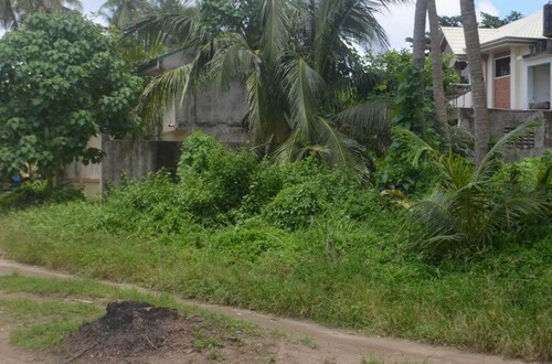 Bild 3 - Grundstück in Ferrol