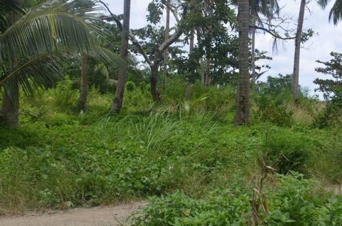 Bild 4 - Grundstück in Ferrol zum Kaufen