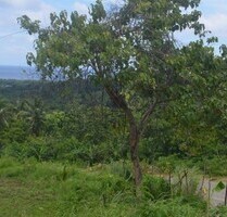 Bauland, Agrarland 4ha, für Investor, Meerblick, Philippinen - Ferrol