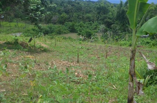 Bild 2 - Grundstück zum Kaufen in Ferrol