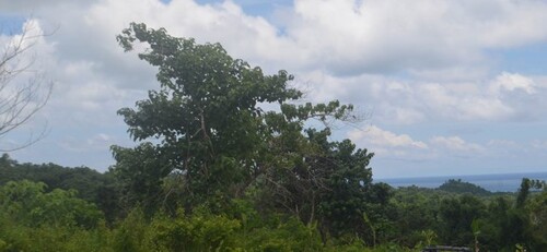 Bild 3 - Grundstück in Ferrol