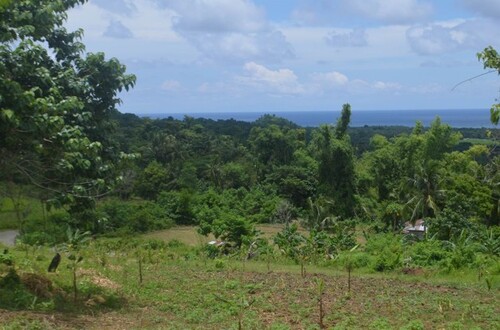 Bild 4 - Grundstück in Ferrol zum Kaufen